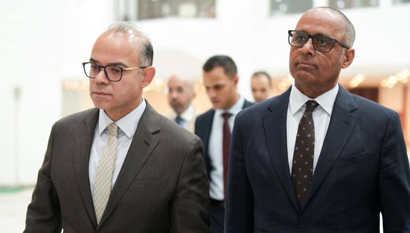 الدكتور محمد فريد- وزير الاستثمار