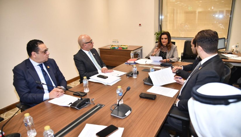 النائبة سحر طلعت مصطفى