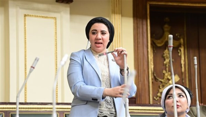 النائبة أمير صابر