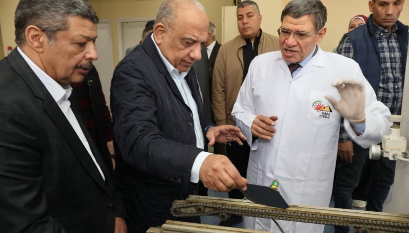 الدكتور محمود عصمت وزير الكهرباء