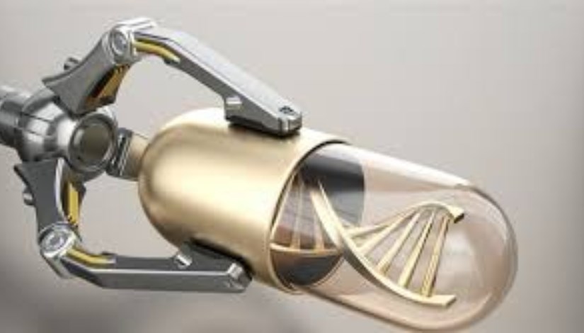  كبسولة روبوتية صغيرة