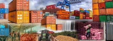 الصادرات الغذائية