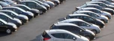 غلاء السيارات