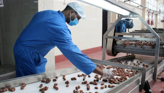 مصانع تعبئة وتغليف التمور