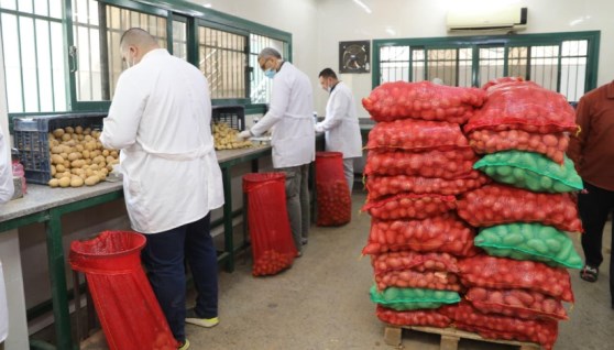 فحص البطاطس