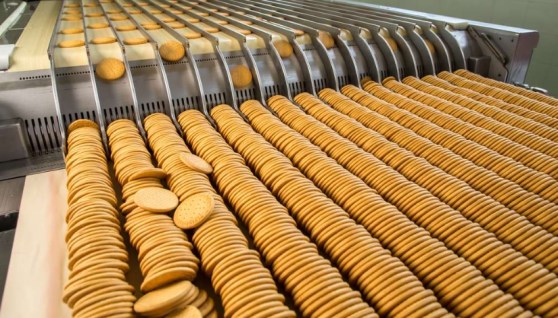 مصنعو البسكويت 