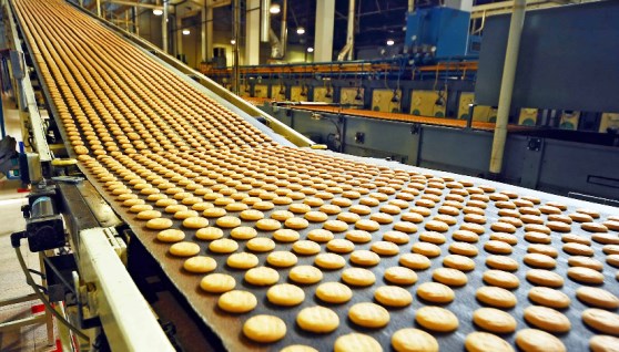 صناعات غذائية 