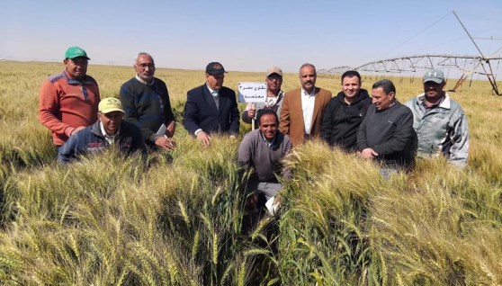 جانب من الزيارة