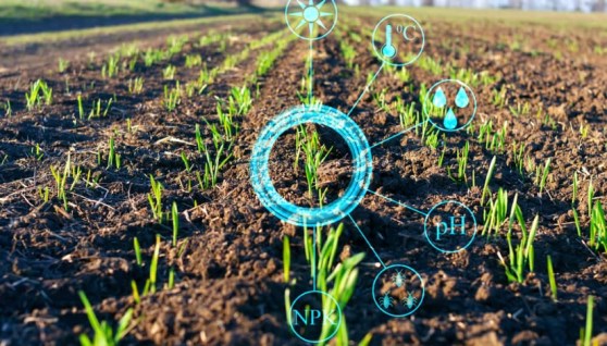 الذكاء الاصطناعي الزراعي