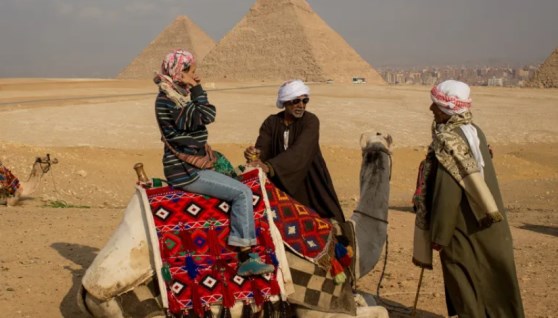 دواب سياحية