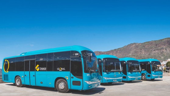 سوق الحافلات العالمي