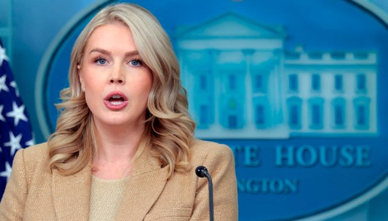 كارولاين ليفيت، المتحدثة باسم البيت الأبيض