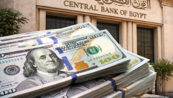 الدولار والبنك المركزي صورة تعبيرية