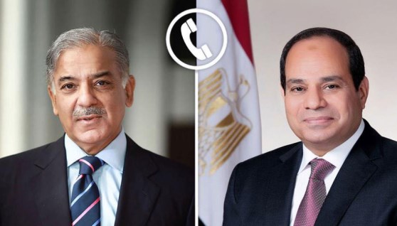 الرئيس السيسي ورئيس الوزراء الباكستاني شهباز شريف