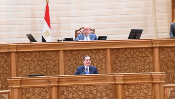 المهندس طارق الملا- رئيس لجنة الطاقة والبيئة بمجلس النواب
