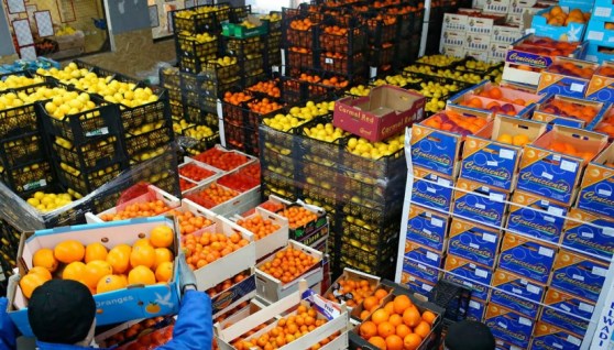 صادرات الصناعات الغذائية