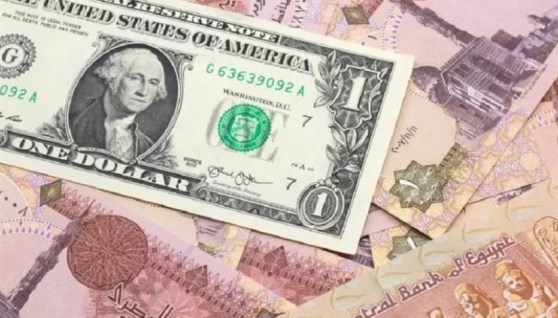 سعر الدولار اليوم 