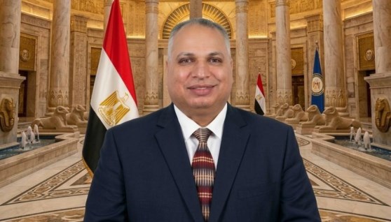 الدكتور محمد الجوهري الخبير الاقتصادي