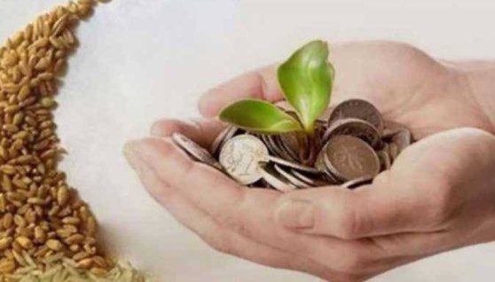 زكاة الفطر 2026