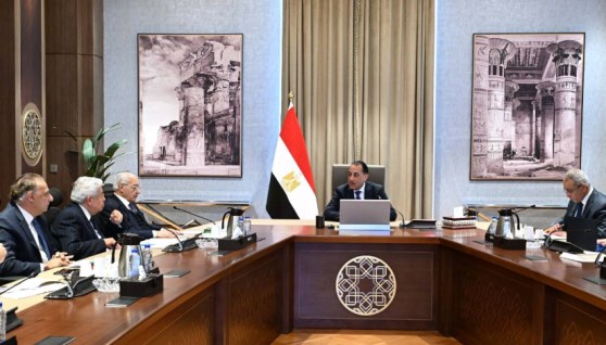 جانب من اجتماع رئيس الوزراء لاستعراض وتبادل الرؤى حول عدد من الموضوعات والقضايا