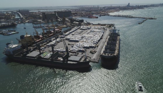 ميناء الإسكندرية