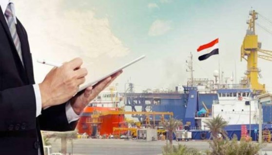 الاستثمار في مصر