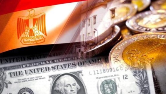 الاستثمار في مصر