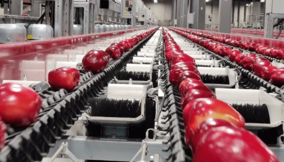 مصنع تغليف - صورة أرشيفية