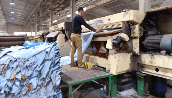 مصنع جلد في الروبيكي