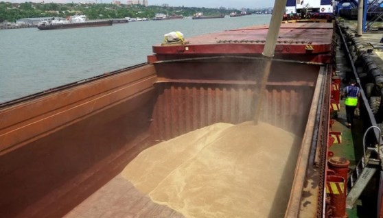 القح الروسي