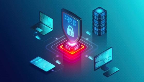 الأمن السيبراني