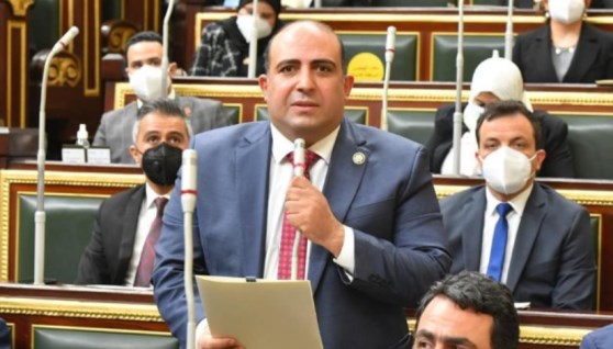 النائب الدكتور محمد سليم، عضو مجلس النواب