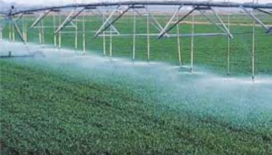 إدارة الموارد المائية