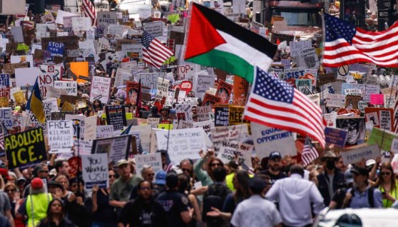 الأمريكيين