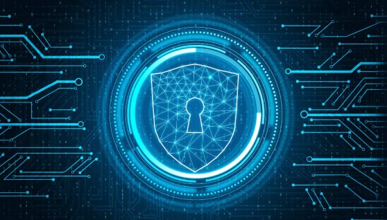 الأمن السيبراني