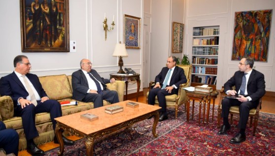 بدر عبد العاطي وزير الخارجية