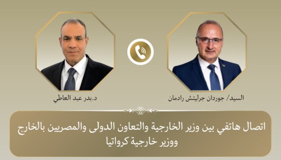 وزير الخارجية المصري