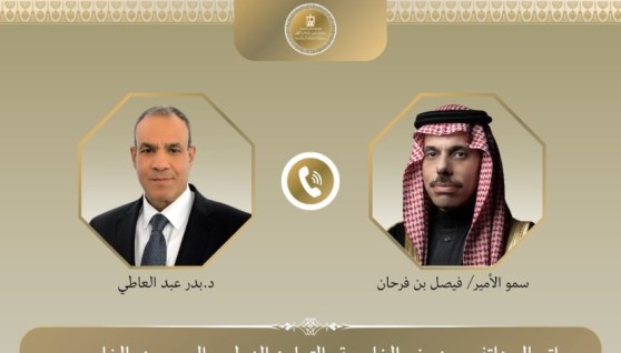 وزير الخارجية ونظيرة السعودي