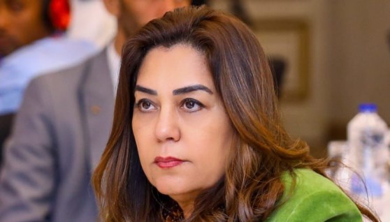 الدكتورة منال عوض وزيرة التنمية المحلية والبيئة