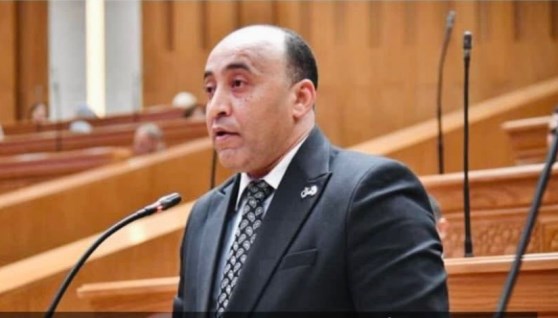 النائب حسام حسن 