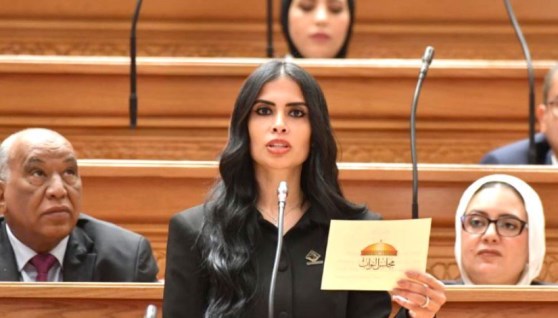 النائبة هايدي المغازي