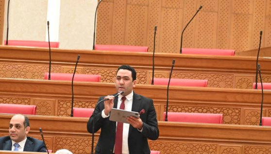 الدكتور عوض أبو النجا- عوض لجنة الخطة والموازنة بمجلس النواب