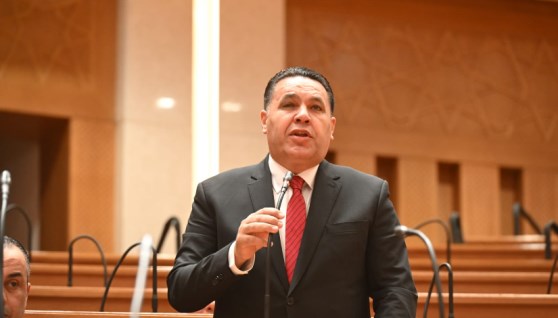 النائب عماد الغنيمي