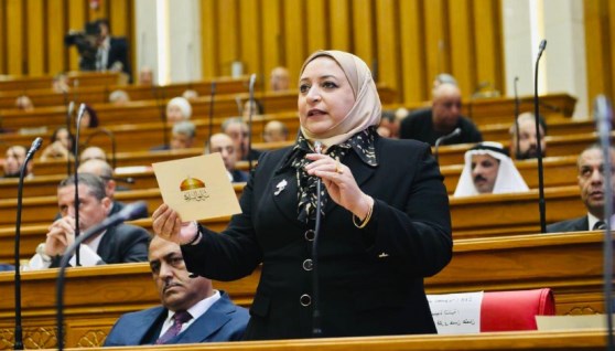 عضوة مجلس النواب 