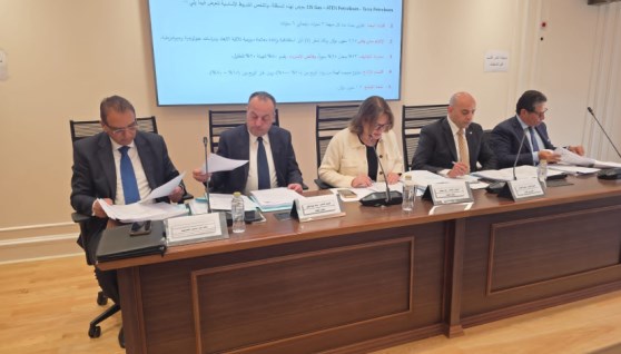 لجنة الطاقة بمجلس النواب 