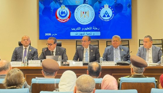 اجتماع صحة النواب 