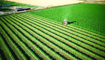 الموسم الزراعي