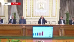 رئيس مجلس الوزراء