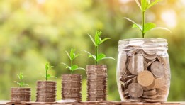 الاستثمار الزراعي