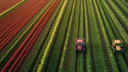 الزراعة المستدامة